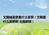文胸啥意思是什么意思（文胸是什么意思啊 文胸解释）