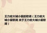 王力宏大城小爱的歌词（王力宏大城小爱歌词 关于王力宏大城小爱歌词）