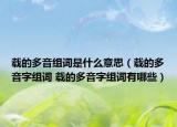 载的多音组词是什么意思（载的多音字组词 载的多音字组词有哪些）