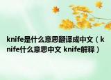 knife是什么意思翻译成中文（knife什么意思中文 knife解释）