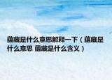 蕴藏是什么意思解释一下（蕴藏是什么意思 蕴藏是什么含义）