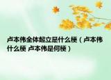 卢本伟全体起立是什么梗（卢本伟什么梗 卢本伟是何梗）
