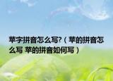 苹字拼音怎么写?（苹的拼音怎么写 苹的拼音如何写）