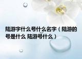 陆游字什么号什么名字（陆游的号是什么 陆游号什么）