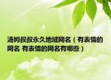 汤姆叔叔永久地域网名（有表情的网名 有表情的网名有哪些）