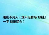 观山不见人（观不见有鸟飞来打一字 谜语简介）
