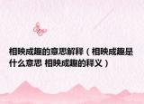 相映成趣的意思解释（相映成趣是什么意思 相映成趣的释义）