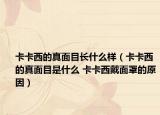 卡卡西的真面目长什么样（卡卡西的真面目是什么 卡卡西戴面罩的原因）