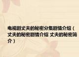 电视剧丈夫的秘密分集剧情介绍（丈夫的秘密剧情介绍 丈夫的秘密简介）