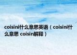 coisini什么意思英语（coisini什么意思 coisin解释）