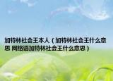 加特林社会王本人（加特林社会王什么意思 网络语加特林社会王什么意思）