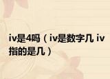 iv是4吗（iv是数字几 iv指的是几）