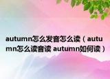 autumn怎么发音怎么读（autumn怎么读音读 autumn如何读）