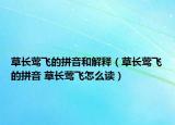 草长莺飞的拼音和解释（草长莺飞的拼音 草长莺飞怎么读）