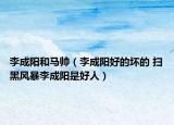李成阳和马帅（李成阳好的坏的 扫黑风暴李成阳是好人）