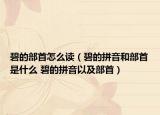 碧的部首怎么读（碧的拼音和部首是什么 碧的拼音以及部首）