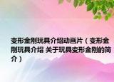 变形金刚玩具介绍动画片（变形金刚玩具介绍 关于玩具变形金刚的简介）