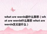 what are words是什么意思（what are words什么意思 what are words含义是什么）