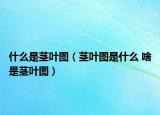 什么是茎叶图（茎叶图是什么 啥是茎叶图）