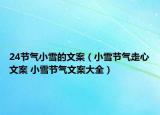 24节气小雪的文案（小雪节气走心文案 小雪节气文案大全）