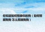 你知道如何照顾你的狗（如何照顾狗狗 怎么照顾狗狗）