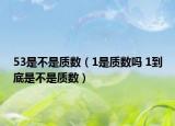 53是不是质数（1是质数吗 1到底是不是质数）
