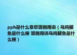 pph是什么意思饭圈用语（乌鸡鲅鱼是什么梗 饭圈用语乌鸡鲅鱼是什么梗）