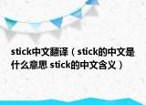 stick中文翻译（stick的中文是什么意思 stick的中文含义）