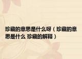 珍藏的意思是什么呀（珍藏的意思是什么 珍藏的解释）