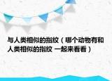 与人类相似的指纹（哪个动物有和人类相似的指纹 一起来看看）