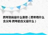 跨年到底是什么意思（跨年有什么含义吗 跨年的含义是什么）