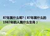 87年属什么呢?（87年属什么的 1987年的人属什么生肖）