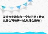 发多音字造句在一个句子里（什么从什么写句子 什么从什么造句）