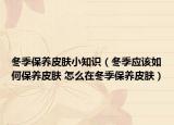 冬季保养皮肤小知识（冬季应该如何保养皮肤 怎么在冬季保养皮肤）