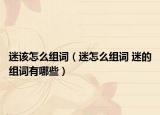 迷该怎么组词（迷怎么组词 迷的组词有哪些）