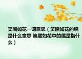 笑靥如花一词意思（笑靥如花的靥是什么意思 笑靥如花中的靥是指什么）