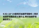 6.02×10^23是阿伏加德罗常数吗（阿伏加德罗常数的意义是什么 阿伏加德罗常数的意义）