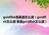 goldfish用英语怎么读（goldfish怎么读 英语goldfish怎么读）