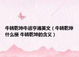 牛转乾坤牛运亨通英文（牛转乾坤什么梗 牛转乾坤的含义）