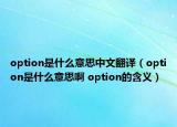 option是什么意思中文翻译（option是什么意思啊 option的含义）