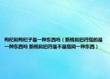 枸杞和枸杞子是一种东西吗（新桃和旧符指的是一种东西吗 新桃和旧符是不是指同一种东西）
