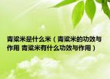 青粱米是什么米（青粱米的功效与作用 青粱米有什么功效与作用）