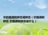 尔的组词和拼音词拼音（尔组词和拼音 尔组词和拼音是什么）