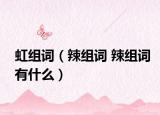 虹组词（辣组词 辣组词有什么）