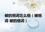 被的组词怎么组（被组词 被的组词）