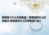 爱情是个什么东西歌曲（爱情是种什么东西歌词 爱情是种什么东西歌曲介绍）