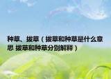 种草、拔草（拔草和种草是什么意思 拔草和种草分别解释）