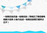 一如既往地还是一如既往的（想明白了再结婚电视剧大结局 小鱼与龙夏一如既往的精打细算过日子）