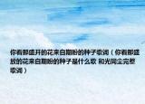 你看那盛开的花来自期盼的种子歌词（你看那盛放的花来自期盼的种子是什么歌 和光同尘完整歌词）