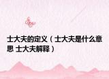 士大夫的定义（士大夫是什么意思 士大夫解释）